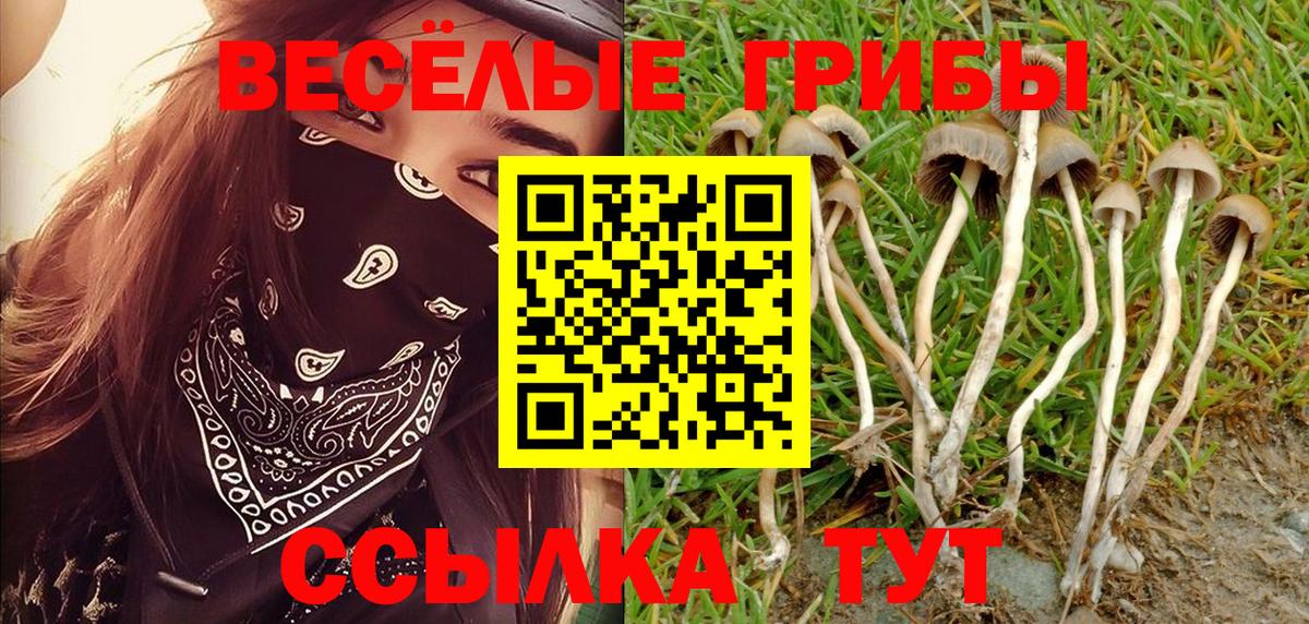 Бахчисарай  Псилоцибиновые грибы GOLDEN TEACHER  Вход с VPN  Галлюциногенные грибы GOLDEN TEACHER 