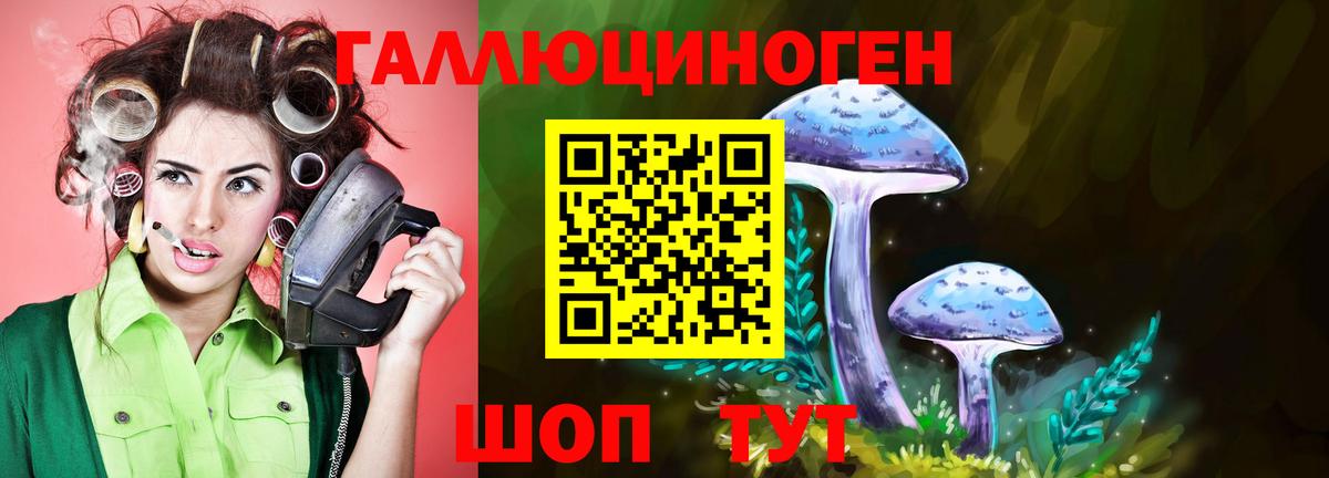 Псилоцибиновые грибы MAGIC MUSHROOMS Бахчисарай